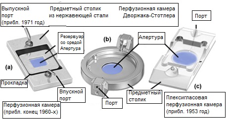Конструкции ранних перфузионных камер для визуализации живых клеток