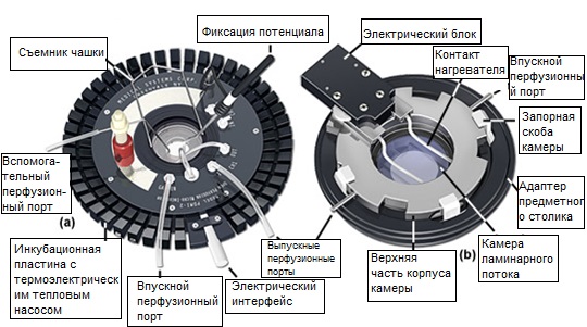 Высокопроизводительный инкубатор/перфузионная культуральная камера