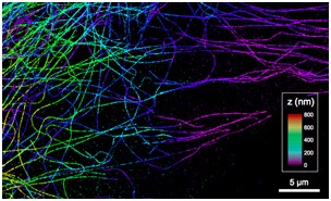 Возможность получения трехмерной информации N-STORM Super-Resolution