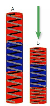 Реакция тканей различной степени жесткости на компрессию: красным цветом обозначена эластичная ткань, синим – жесткая ткань. А – отсутствие компрессии. Б – компрессия (направление компрессии показано стрелкой)