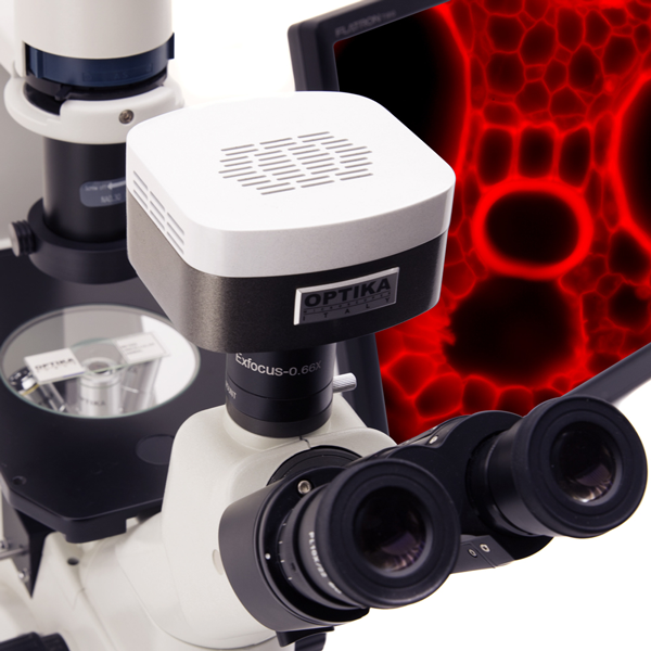 Микроскопы инвертированные серии XDS Optika (Италия)