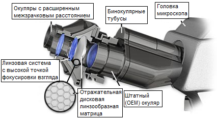 тосрочс.png